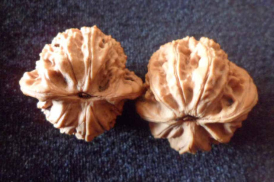 怎樣盤核桃包漿最快