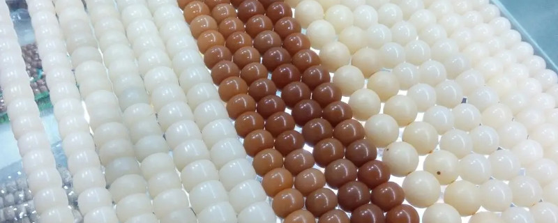 白菩提根盤玩變色過程