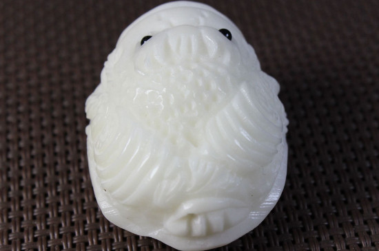 象牙果和菩提根的區(qū)別