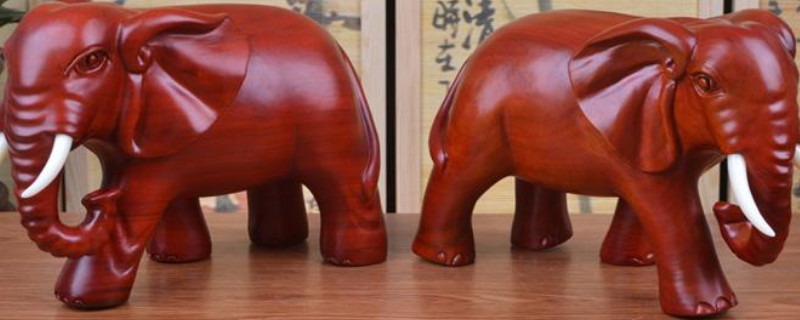 紅花梨的辨別方法