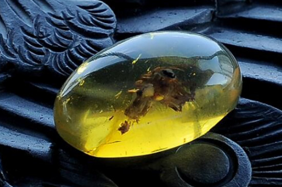 琥珀和蜜蠟的區(qū)別都有什么作用