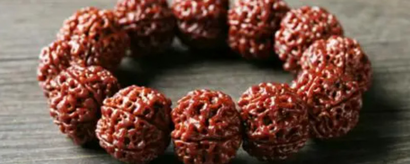 金剛菩提怎么看品相