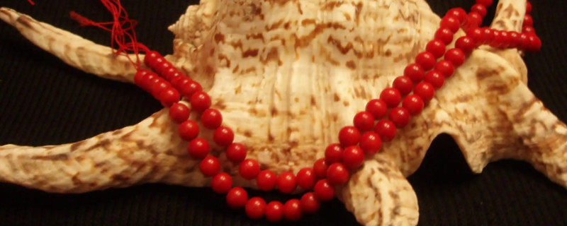 紅珊瑚怎么保養(yǎng)