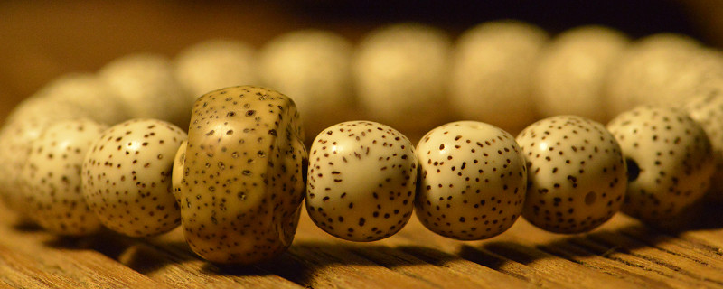 星月菩提能沾水嗎