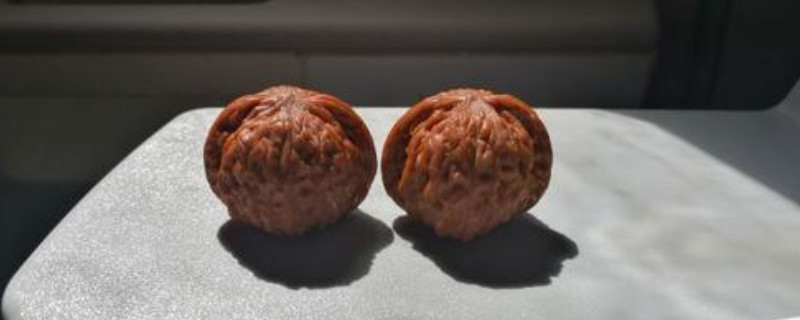 怎么判斷核桃是否陰干