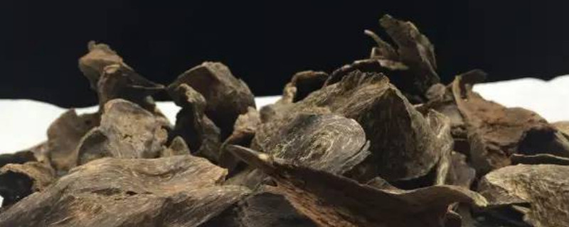 貢木和沉香的區(qū)別