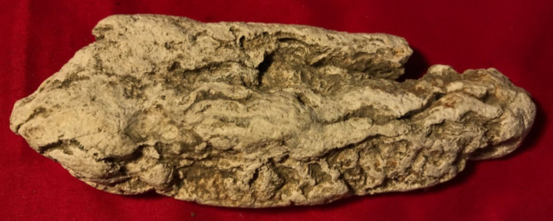 龍誕香是什么材質(zhì)