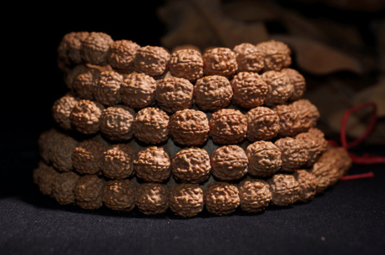 大金剛菩提種類