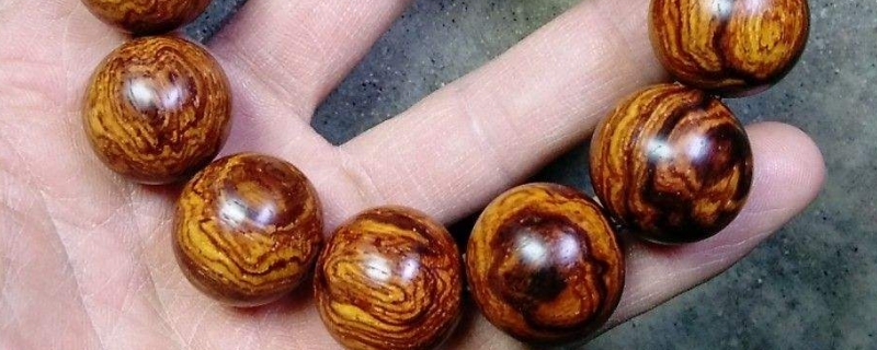 海黃和紫檀柳的區(qū)別