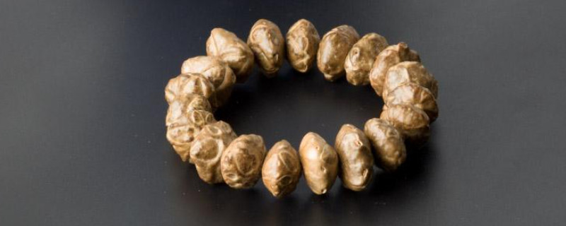 什么叫金剛菩提蜂王