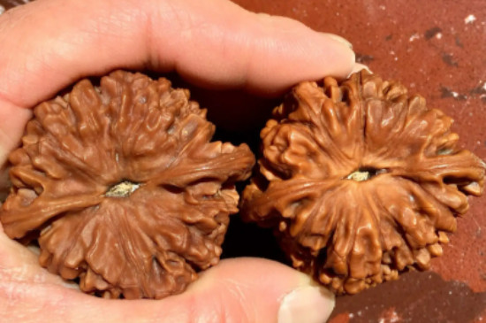 文玩核桃怎么刷能刷得紅透亮呢?