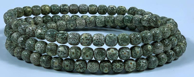 星月菩提帝王綠后期什么樣子