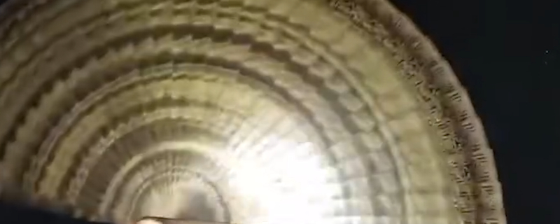 烏木、陰沉木常見(jiàn)幾種鑒定、鑒別方法