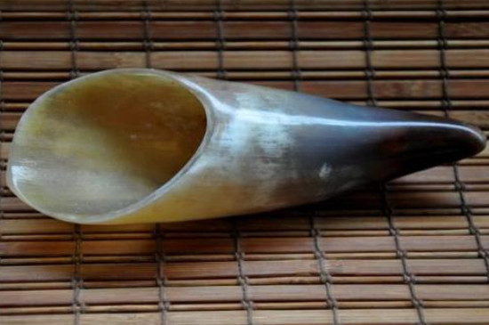 牛角盤玩后會玉化嗎