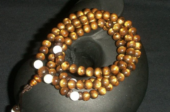 金珊瑚與金海柳區(qū)別