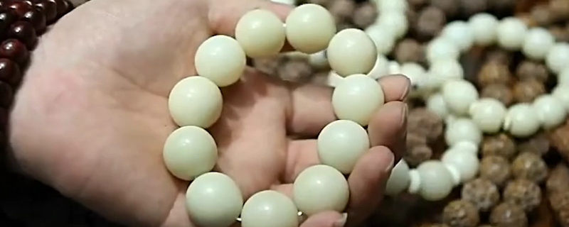 白玉菩提盤玩方法