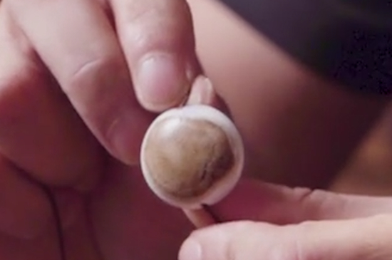 什么是天珠原石