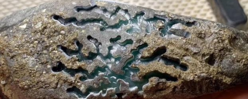 莫灣基出綠的皮殼表現(xiàn)