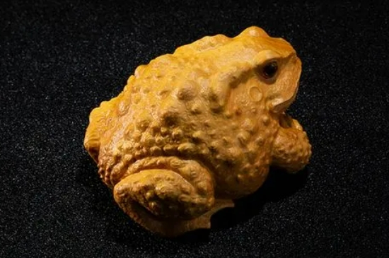 金蟾上的灰可以隨便擦嗎