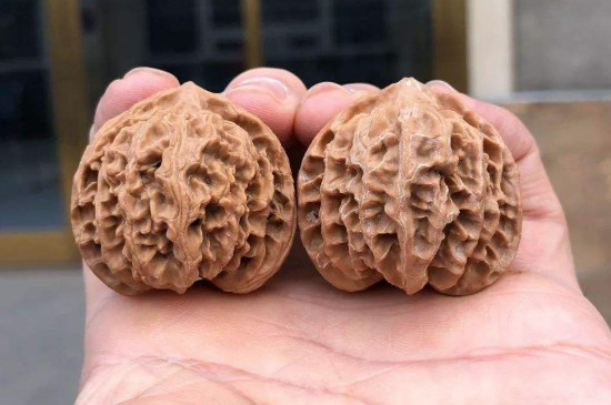 核桃變色的8個過程