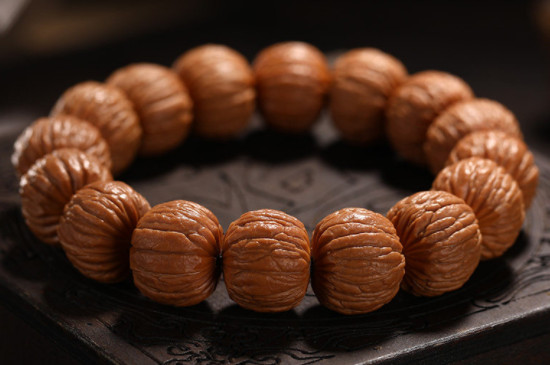 土豪猴頭和鳳羽猴頭區(qū)別