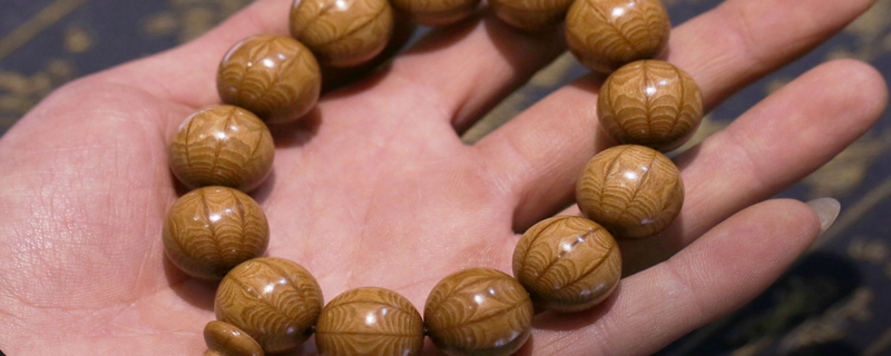 六道木真假辨別