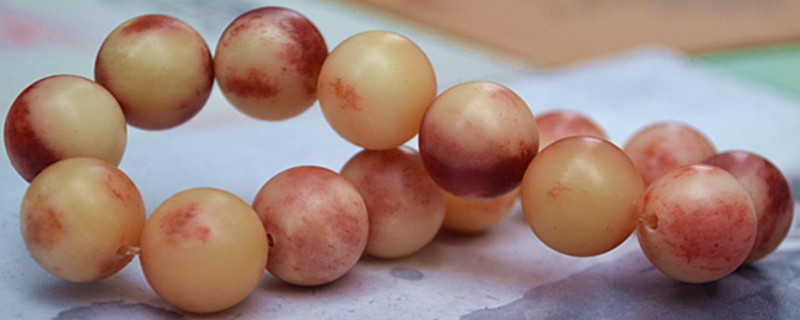 駱駝骨手串怎么鑒別真假