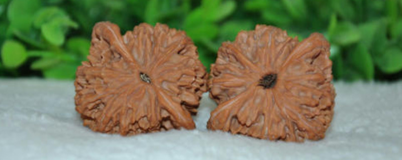 盤野核桃的功效與作用