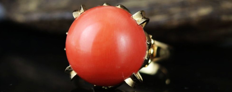 紅珊瑚的真假辨別方法