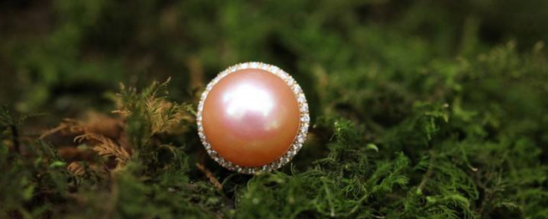 東珠有什么寓意