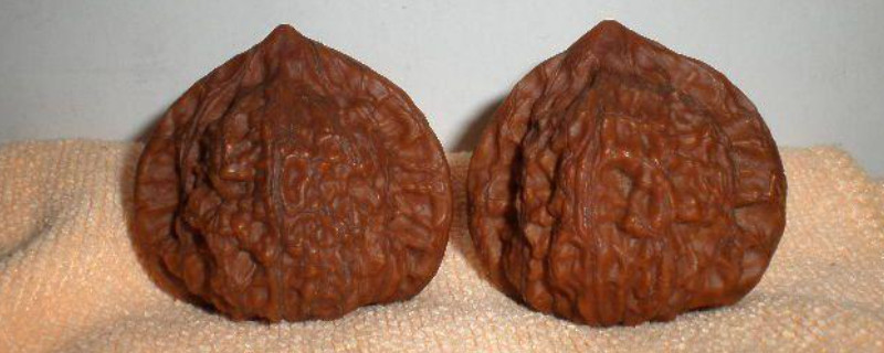 官帽核桃如何盤玩