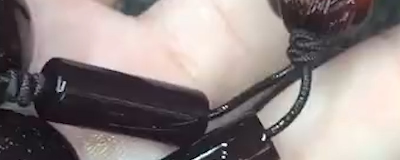 小葉紫檀的真假鑒別