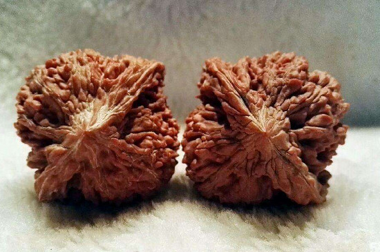 核桃滿天星的特點(diǎn)
