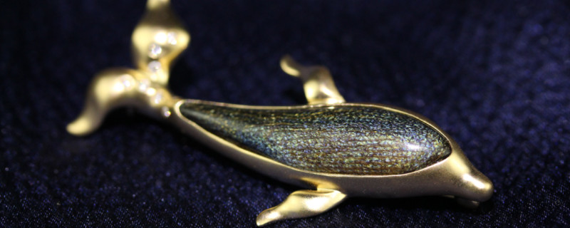 金珊瑚與金海柳區(qū)別