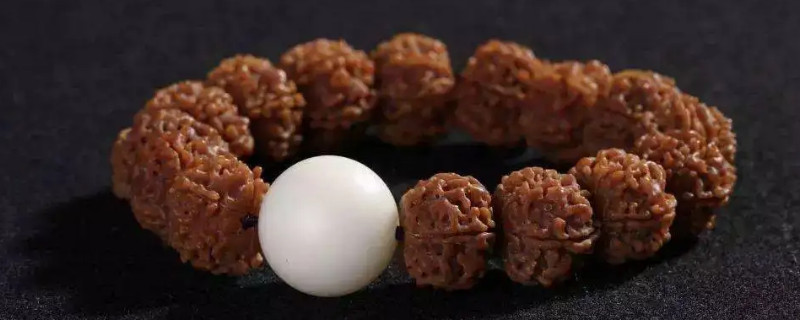 金剛菩提用橄欖油泡幾天最佳