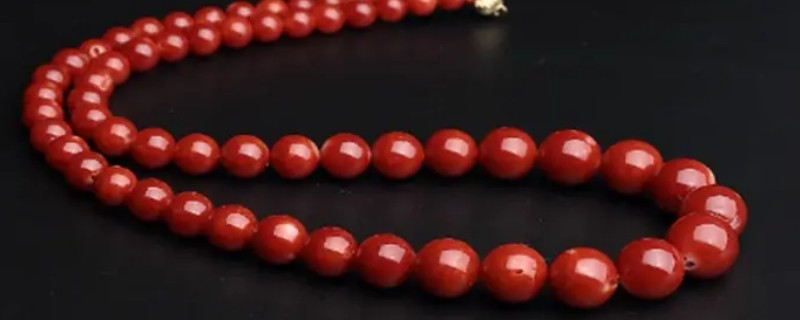 紅珊瑚真品放在水里會怎樣