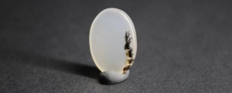 海洋玉髓保養(yǎng)