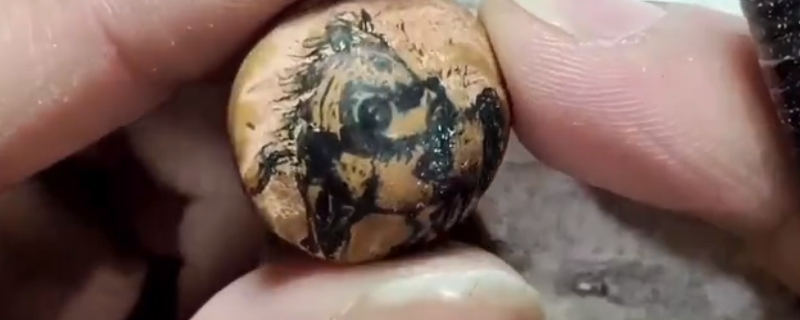 龍紋桃核十八羅漢盤玩方法