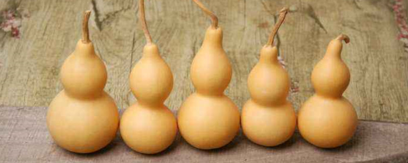 如何把玩葫蘆變得油亮