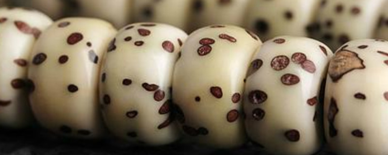 千眼菩提怎么快速包漿