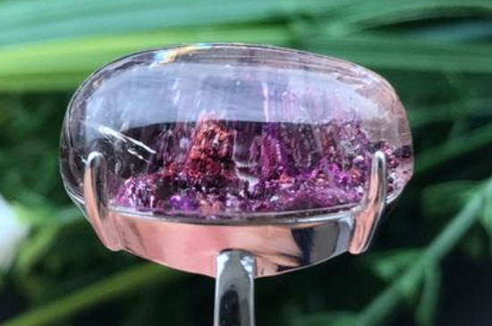 紫幽靈的功效與寓意