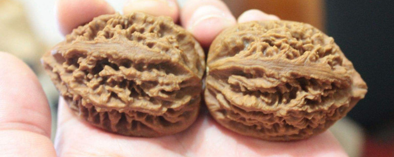 文玩核桃產(chǎn)地都是哪里