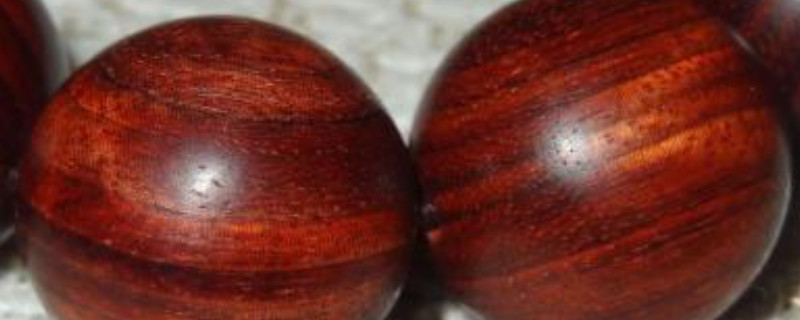 快速鑒定木頭種類