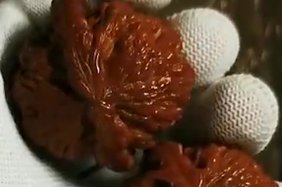 把玩核桃怎樣才能包漿更快呢