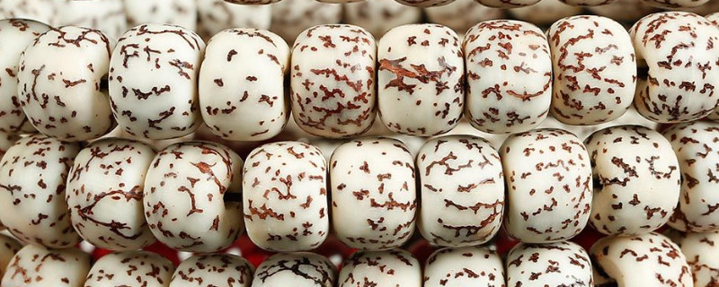 血絲菩提和星月菩提有什么區(qū)別