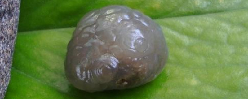 泡泡石和月光石的區(qū)別