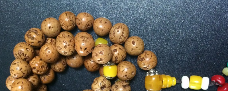 龍眼菩提怎么盤玩