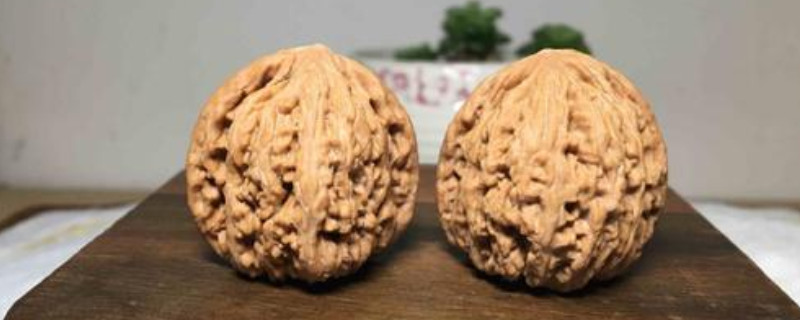 文玩核桃紅寶石和密紋的區(qū)別