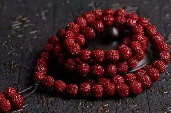 落地紅和金剛菩提的區(qū)別在哪里