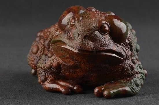 金蟾適合什么生肖人戴